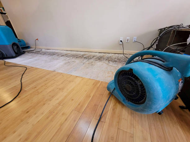 Reliable Water Damage Inspection contractor in New London, NC by San Diego Water Damage Company